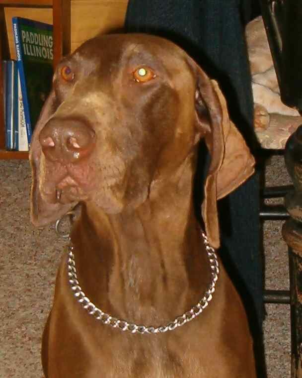 Kaiser 2