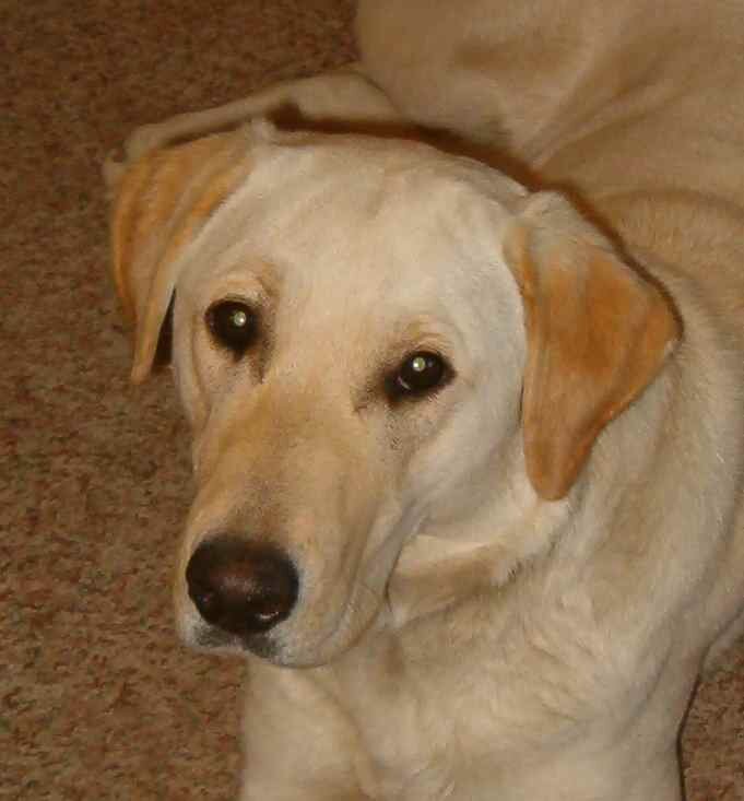 Zoe